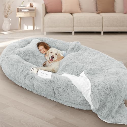 ROOMTEC Human Dog Bed, 71''x45''x12'' Size Fits Adult and Pet Washable Giant People Bed 10 CM Thick Memory Foam Large Oversize Pet Bed with Plump Pillow, Blanket, Strap - Grey