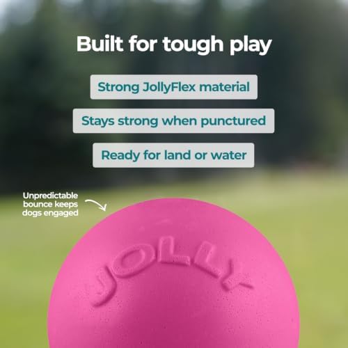 Jolly Pets Bounce-N-Play Large Dog Ball, 8 In, Pink | Durable large dog ball for dogs over 60 lbs, made from tough JollyFlex material that won't deflate when punctured and floats