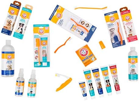 Arm & Hammer Fresh Breath Enzymatic Dog Toothpaste, Vanilla Ginger, 2.5 Oz | Baking soda dental gel eliminates bad breath, safe for daily use in puppies and adult dogs