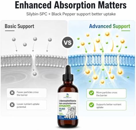 Same for Dogs Liquid with Silybin, Milk Thistle, Dog Liver Supplement, 30ml