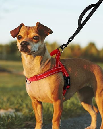 rabbitgoo Dog Harness No Pull, Quick Fit for Medium Sized Dog, Reflective | Chest Adjustable Pet Vest with Soft Padded Handle, No Choke Escape Proof for Walking Training, Red M