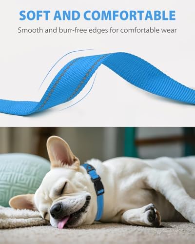 Joytale Dog Collar (10-16") and 6FT x 3/4" Wide Dog Leash Set, Reflective and Adjustable Nylon Collar and Padded Handle Leash for Small Dogs, Sky Blue, S