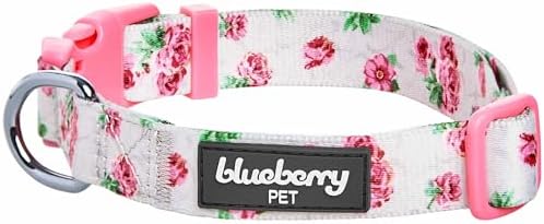 Cherry Garden Dog Collar with Dainty Flowers
