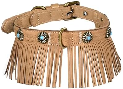 Blueberry Pet Silver-Powered Freshness Western Fringe Brown Microfiber Suede Collar with Turquoise Conchos