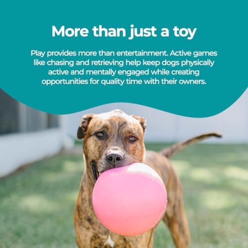 Jolly Pets Bounce-N-Play Large Dog Ball, 8 In, Pink | Durable large dog ball for dogs over 60 lbs, made from tough JollyFlex material that won't deflate when punctured and floats