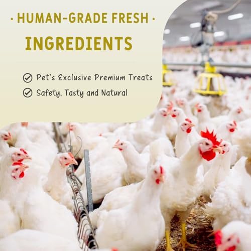 Freeze Dried Chicken Necks for Dogs & Cats 100g (3.53oz) - Single Ingredient Raw Treats, High Protein Natural Chews for Bone & Dental Health, Grain-Free Training Snacks