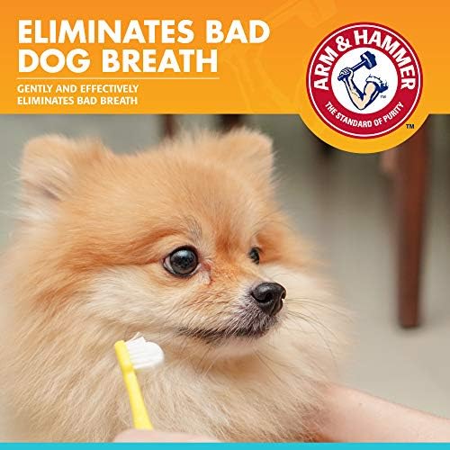 Arm & Hammer Fresh Breath Enzymatic Dog Toothpaste, Chicken, 2.5 Oz, 3-Pk | Enzymatic baking soda formula, poultry flavor, daily use, puppies and adult dogs