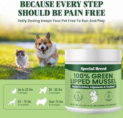 Green Lipped Mussel Powder for Dogs & Cats - 100% New Zealand Green Lipped Mussels - Natural Hip & Joint Supplement for Joints, Tendons, Ligaments, Muscles - 800 Grams - Up to 2,665 Servings