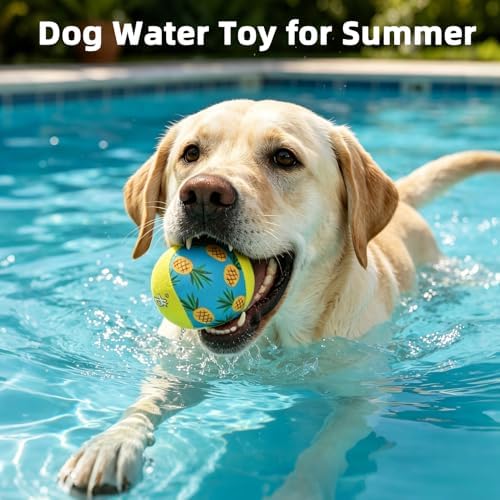 PUPTECK Floating Dog Pool Toys, Bouncing Balls, 2-Pack, Pineapple & Watermelon