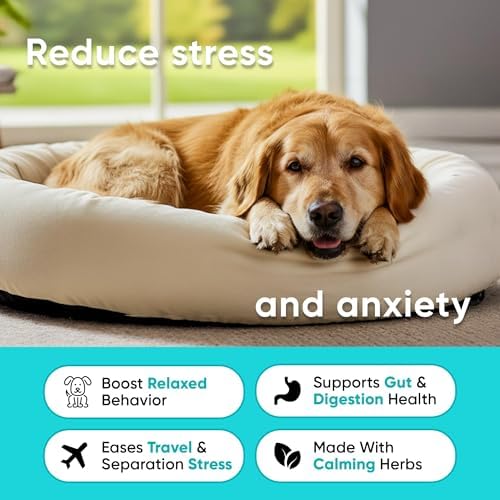 Calming Chews for Dogs with Valerian Root & Melatonin 3mg, 180-Pack, 180 Count