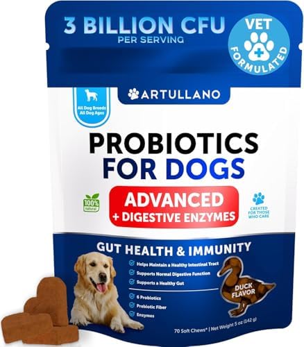 Probiotics for Dogs - 70 Chews - Dog Yeast Probiotic - Dog Probiotics