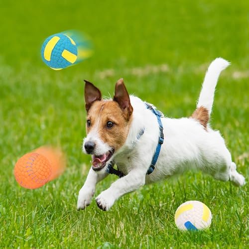 Squeaky Dog Balls Toys 6 Pcs, 2.4" Latex Dog Toys Bouncy Fetch Throw Ball for Small Dogs and Medium Dogs Interaction