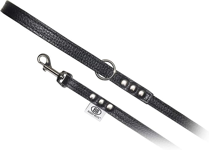 Premium Leather Dog Leash by Buddy Belts