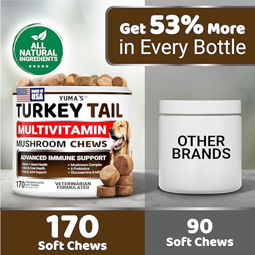 (2 Pack) Turkey Tail Mushroom for Dogs - 340 Ct - Mushroom Chews for Dogs | Lipoma Lumps and Bumps - Immune Health, Digestive, Skin, Joint Vitamin Support Guard Buddy - Multivitamin Supplement