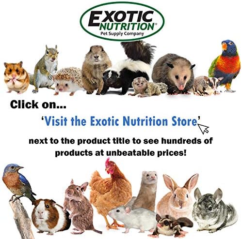 Exotic Nutrition Sugar Glider Vitamin Combo Pack - Powder Multivitamin & Powder Calcium Supplement for Pet Sugar Gliders