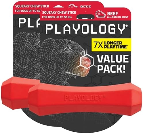 Playology Squeaky Chew Stick - Scented Dog Toy - Medium, Beef Scent, 2-pk | Rubber Construction, All Natural Scent, Durable Design