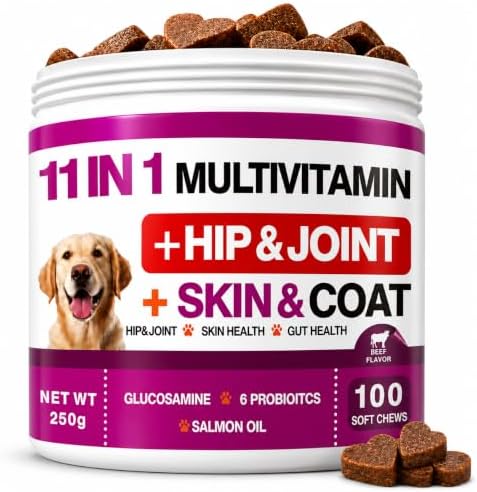 11 in 1 Dog Multivitamin Soft Chews, Daily Vitamins for Dogs with Glucosamine, Probiotics, Salmon Oil, Omega Fatty Acids, Hip & Joint Support, Skin & Coat Care, Gut Health Nutrition, Beef Flavor