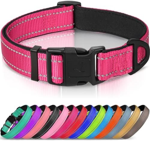 Joytale Reflective Dog Collar, Adjustable Neoprene Padded, Hotpink L