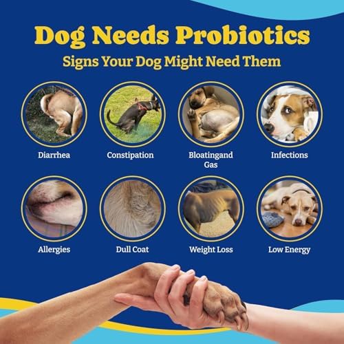 Collagen for Dogs - Dog Collagen Soft Chews for Hip, Joint, Skin & Coat + Probiotics for Dogs, Immune Support Supplement