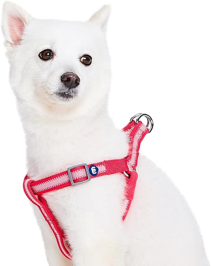 Blueberry Pet Essentials Step-in Reflective Back to Basics Dog Harness, French Pink, Chest Girth 20" - 26", Medium, Adjustable Harnesses for Dogs