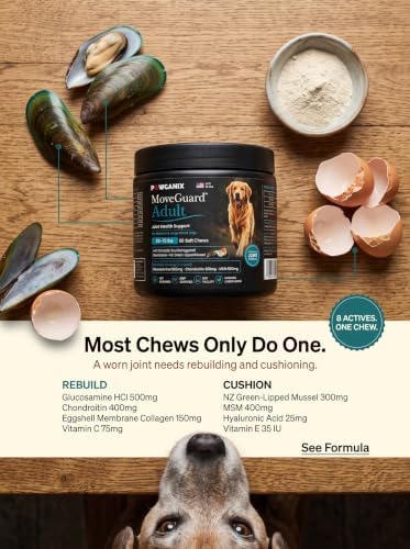 Adult/Senior Dog Hip & Joint Supplement Chews, Glucosamine for Dog