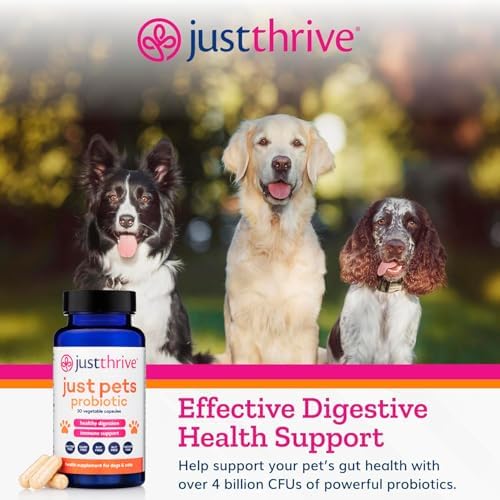 Just Thrive Just Pets Probiotic for Dogs & Cats Digestive Health Support
