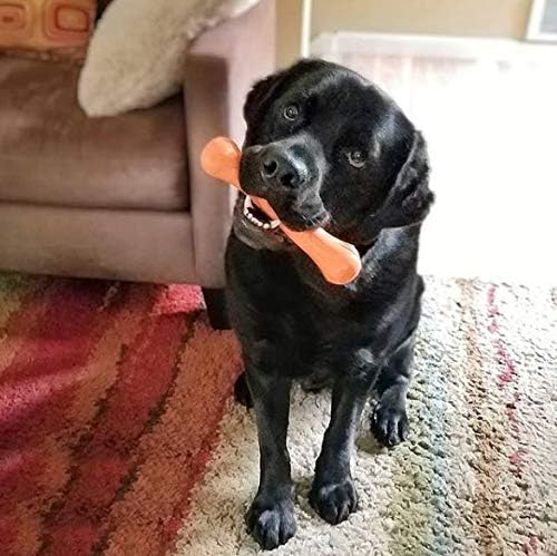 Jolly Pets Flex-N-Chew Jolly Bone Dog Toy, 9 in, Large, Orange | Ultra-tough 9-inch stuffable chew bone for large dogs - floats and holds treats