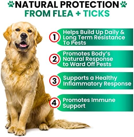 Flea and Tick Prevention for Dogs Chewables, Oral Flea and Tick Control