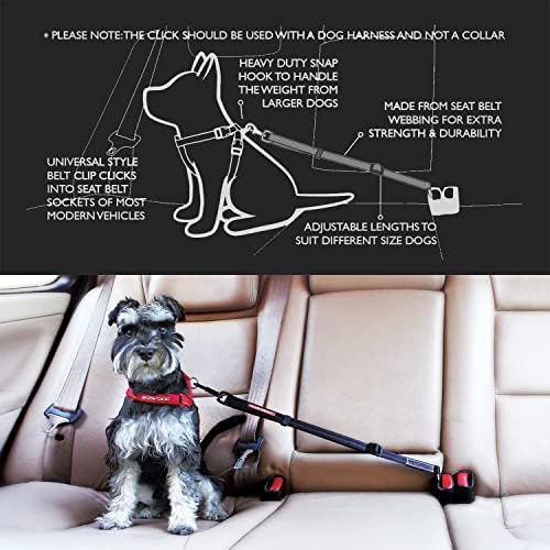 EzyDog Click Dog Seat Belt Car Restraint, 17-26in
