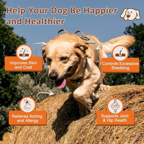 Natural Target Omega 3 Fish Oil for Dogs, 120 Salmon Flavored Soft Chews
