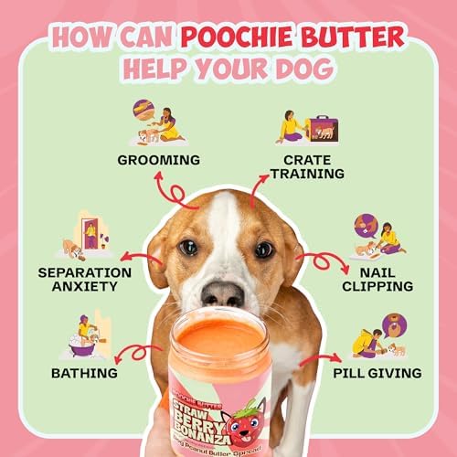 Poochie Butter Strawberry Dog Peanut Butter - Made in USA, Creamy Spread for Lick Mats & Food Toppers - Dry-Roasted Peanuts Non-GMO No Sugar Added Dog Treats | 12 oz (Pack of 2)