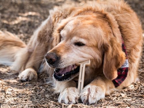 Bullibone Nylon Dog Chew Toy for Aggressive Chewers - Dental Hygiene Bone with Chicken Flavor, Durable Tough Chew Toys for Large Dogs, Indestructible Dog Bone - 3 Pack