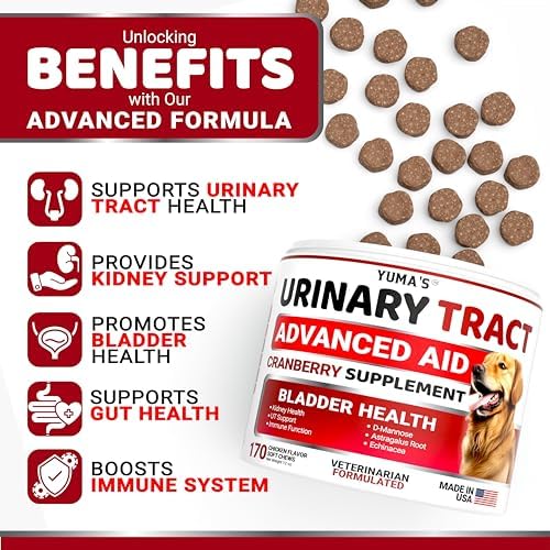 Cranberry Supplement for Dogs - 170 Chews - Dog UTI & Bladder Support | Urinary Tract Health, Vet-Formulated Multivitamin Chews with D-Mannose, Immune Support, Vitamins and Supplements, Made in USA