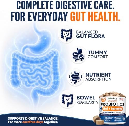 (2 Pack) Probiotics for Dogs - 340 Dog Probiotics Chews - Digestive Enzymes