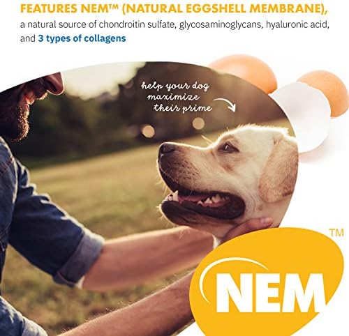 HealthyFlex Canine™ Joint + Mobility Dietary Supplement for Dogs, Natural Eggshell Membrane NEM Formula