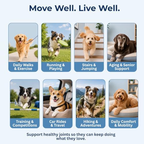 Hip and Joint Supplement for Dogs, 90 Mobility Chews, Bacon Flavor