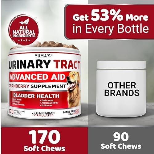 Cranberry Supplement for Dogs - 170 Chews - Dog UTI & Bladder Support | Urinary Tract Health, Vet-Formulated Multivitamin Chews with D-Mannose, Immune Support, Vitamins and Supplements, Made in USA
