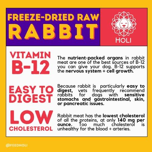 HOLI Freeze Dried Rabbit Dog Treats – Single Ingredient Freeze Dried Rabbit Treats for Dogs – All Natural – High Value Training Treats - (3.5 Ounce - 2 Pack)