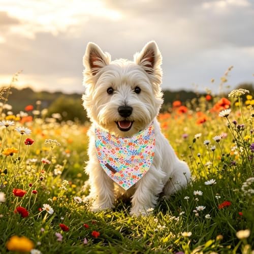 Lionet Paws Spring Summer Wildflowers Cosmos Corn Dog Bandana Washable Cotton Handkerchief Scarf Triangle, Large (Pack of 1), Medium, White