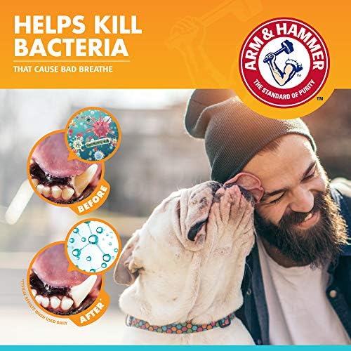 Arm & Hammer Dog Oral Care Breath Spray, Mint Flavor, 4 Fl Oz Bottle | Baking soda spray, brushless formula, mint flavor, daily plaque and tartar control