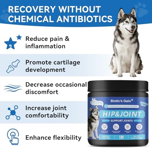 Biotic’s Gain Hip & Joint Soft Chews for Dogs | Glucosamine, MSM, Chondroitin & Turmeric | Hemp Seed Oil for Mobility | Tasty Chews for Senior & Active Dogs (120, Hip & Joint Care)