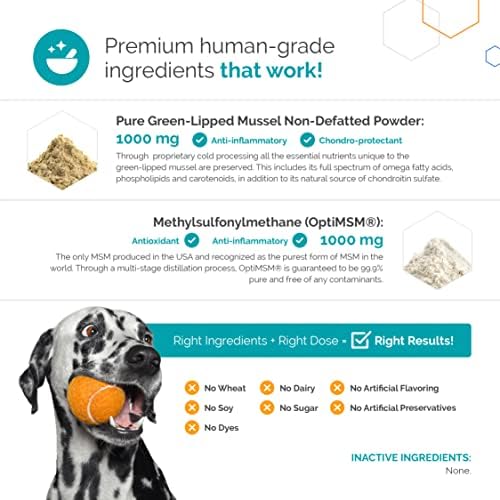 Flexerna Essentials Powder - Joint Supplement for Dogs - New Zealand Green Lipped Mussels for Dogs with MSM - Omega 3 Supplement with Glucosamine Chondroitin - A Whole Food Dog Joint Supplement Powder
