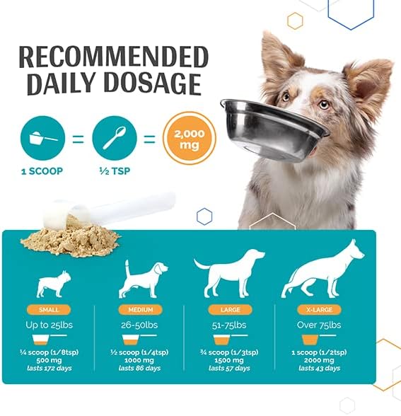 Flexerna Essentials Powder - Joint Supplement for Dogs - New Zealand Green Lipped Mussels for Dogs with MSM - Omega 3 Supplement with Glucosamine Chondroitin - A Whole Food Dog Joint Supplement Powder