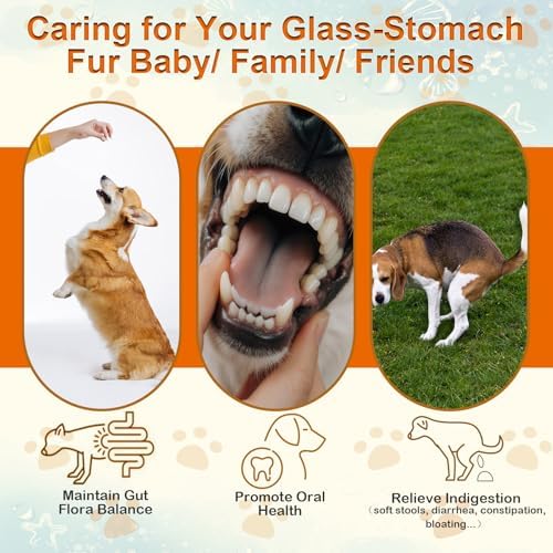 Dog Probiotic Soft Chews Support Gut Health, Diarrhea Gas Relief, 200 Chews | 6 Strains Probiotics, Immunity, Relieves Itchy Skin, Pumpkin, Blueberry, 6 Digestive Enzymes, 4 Prebiotics, Treats