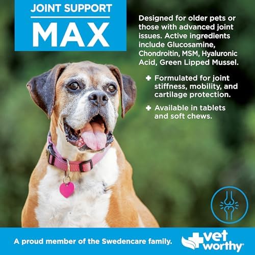 Vet Worthy Joint Support Max Soft Chews - Bone & Joint Supplement - 60ct