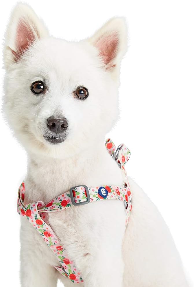 Blueberry Pet Essentials Step-in Spring Scent Inspired Garden Floral Dog Harness in Baby Pink, Chest Girth 16.5" - 21.5", Small, Adjustable Harnesses for Dogs