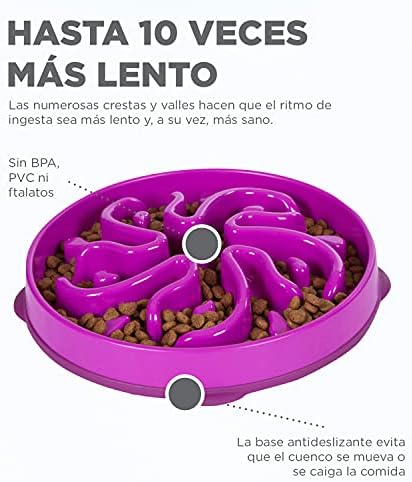 Outward Hound Fun Feeder Slo Bowl, Slow Feeder Dog Bowl, Large/Regular, Purple & Orange