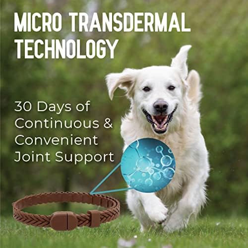 Hip + Joint Mobility Collar for Dogs with Glucosamine, Chondroitin, MSM, and More | Convenient & Easy | 30 Days of Continuous Support | Water Resistant (Small)