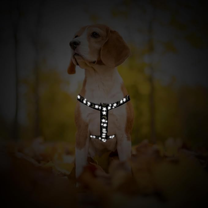PUPTECK No Pull Dog Harness Small Sized Step-in Adjustable Puppy Vest | Soft Webbing Basic Halter with ID Tag for Outdoor Walking
