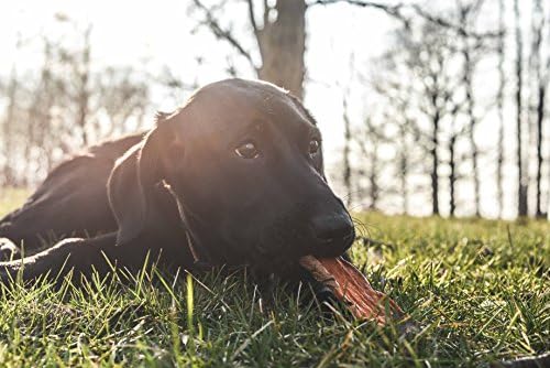 Barkz Veggies Sweet Potato Dog Treats – USA Grown Single Ingredient Dehydrated Slices – Sweet Potato Chews for Dogs with Sensitive Stomachs – Grain Free, No Fillers – 1 lb